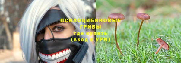 spice Сосновка