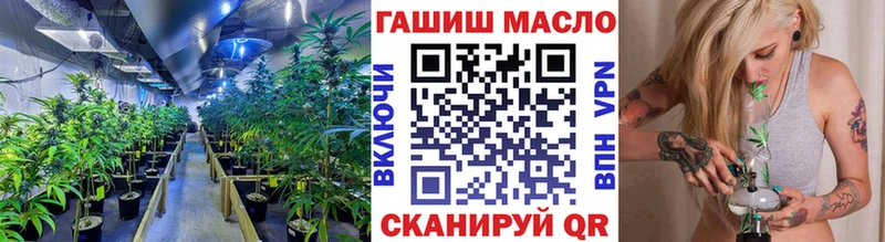 ОМГ ОМГ онион Псков Дистиллят ТГК Wax сколько стоит